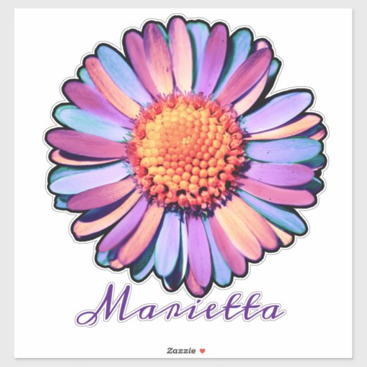Cute Paarse Roze Blauwe Boho Madelief Persoonlij Sticker (Vel)