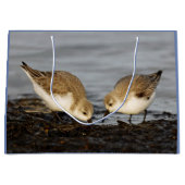 Cute Pair van Sanderlings Sandpipers Shares a Meal Large Cadeautasje (Voorkant)