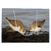 Cute Pair van Sanderlings Sandpipers Shares a Meal Large Cadeautasje (Achterkant)
