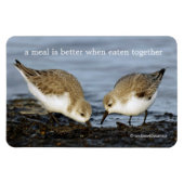 Cute Pair van Sanderlings Sandpipers Shares a Meal Magneet (Horizontaal)