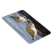 Cute Pair van Sanderlings Sandpipers Shares a Meal Magneet (Rechterzijde)