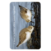 Cute Pair van Sanderlings Sandpipers Shares a Meal Magneet (Verticaal)