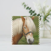 Cute Palomino-Pony Kaart (Staand voorkant)