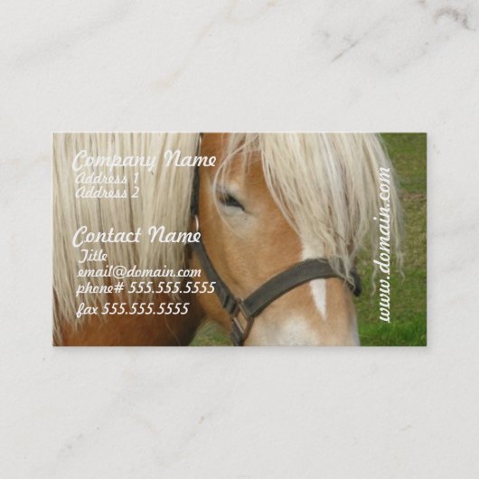 Cute Palomino Pony Visitekaartjes (Voorkant)