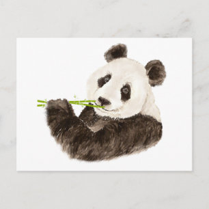 Cute Panda, Aziatisch Beer, Waterverf Animal Briefkaart