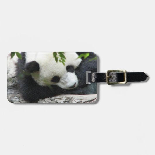 Cute Panda Bagagelabel (Voorkant horizontaal)