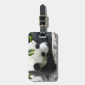 Cute Panda Bagagelabel (Voorkant verticaal)