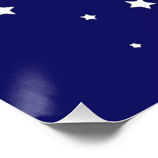 Cute Panda Beer Astronaut on Rocket Ship Kinder Perfect Poster (Hoek)