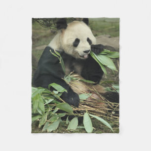 Cute Panda Beer Eating Leaves Fleece Blanket Deken