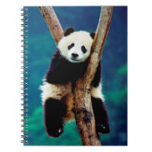 Cute Panda Beer Notitieboek (Voorkant)