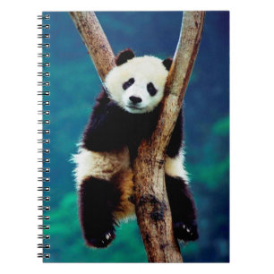 Cute Panda Beer Notitieboek