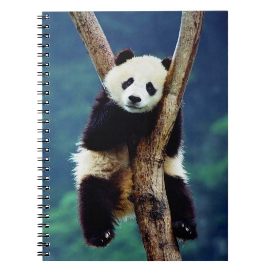 Cute Panda Beer Notitieboek (Voorkant)