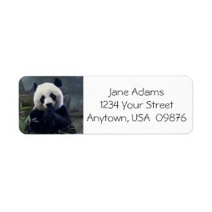 Cute Panda Beer, persoonlijk Etiket