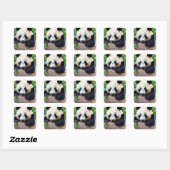 Cute Panda Beer Vierkante Sticker (Vel)