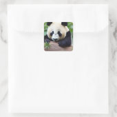 Cute Panda Beer Vierkante Sticker (Tas)