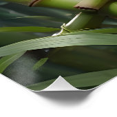 Cute Panda Eating Bamboo Perfect Poster (Hoek)