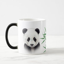 Cute Panda en Bamboo
