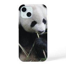 Cute Panda iPhone 15 Hoesje