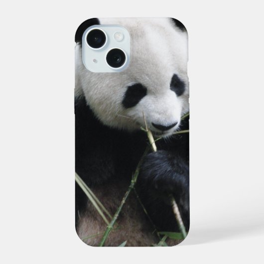 Cute Panda iPhone 15 Hoesje (Achterkant)