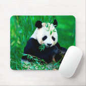 Cute Panda Muismat (Met muis)