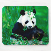 Cute Panda Muismat (Voorkant)