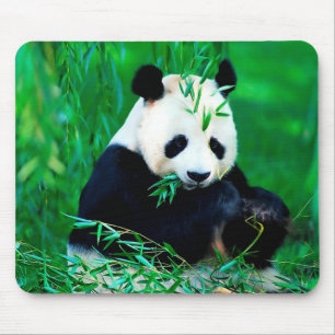 Cute Panda Muismat