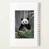 Cute panda notitieboek (Achterkant)
