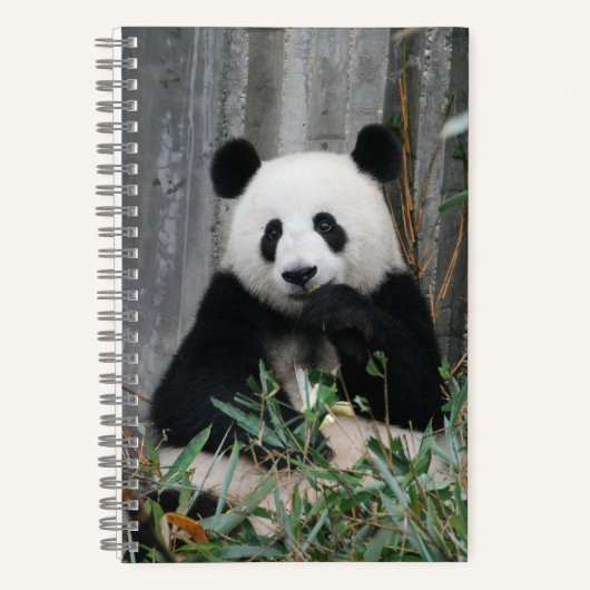 Cute panda notitieboek (Voorkant)
