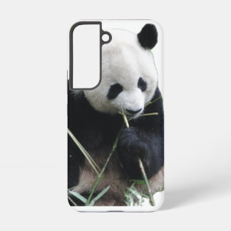 Cute Panda Samsung Galaxy S22 Hoesje