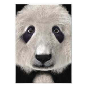 Cute Pandabeer Kawaii Dierenliefhebber Perfect Cad Foto Afdruk