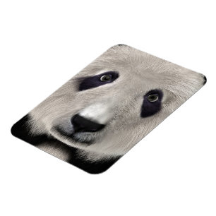Cute Pandabeer Kawaii Dierenliefhebber Perfect Cad Magneet