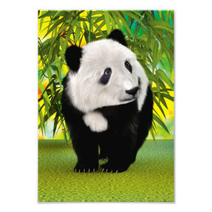 Cute Pandabeer Welp Kawaii Dierenliefhebber Cadeau Foto Afdruk
