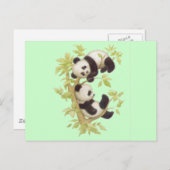 Cute Pandas Briefkaart (Voorkant / Achterkant)