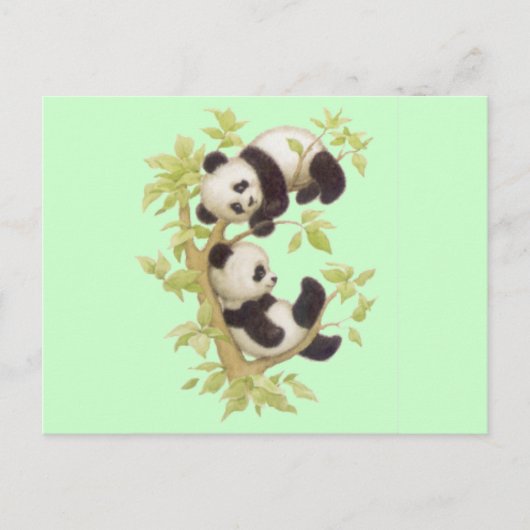 Cute Pandas Briefkaart (Voorkant)