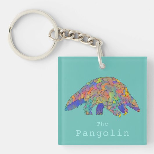 Cute Pangolin kleurrijke illustratie Sleutelhanger (Voorkant)