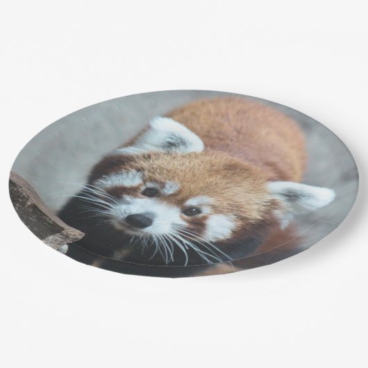 Cute Papieren Bordje (Gekanteld)