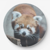 Cute Papieren Bordje (Voorkant)