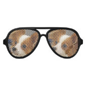 Cute Papillon Dog Aviator Zonnebril (Voorkant)