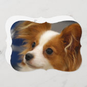 Cute Papillon Dog Kaart (Voorkant / Achterkant)
