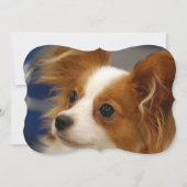 Cute Papillon Dog Kaart (Voorkant)