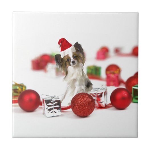 Cute Papillon Dog kerstkerstkerstkerstkerstkerstke Tegeltje (Voorkant)