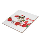 Cute Papillon Dog kerstkerstkerstkerstkerstkerstke Tegeltje (Zijkant)