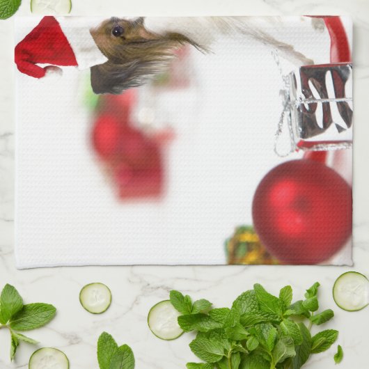 Cute Papillon Dog kerstkerstkerstkerstkerstkerstke Theedoek (Gevouwen)