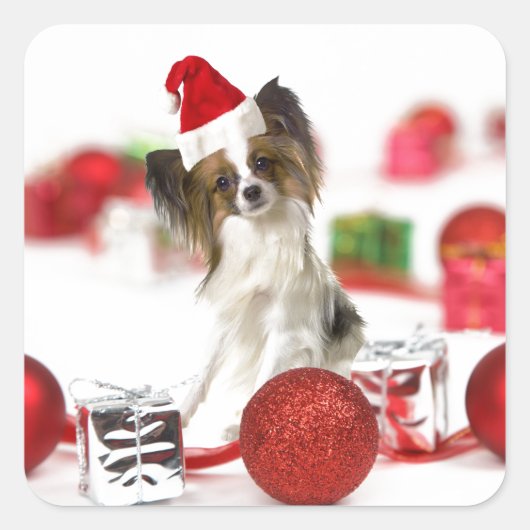 Cute Papillon Dog kerstkerstkerstkerstkerstkerstke Vierkante Sticker (Voorkant)