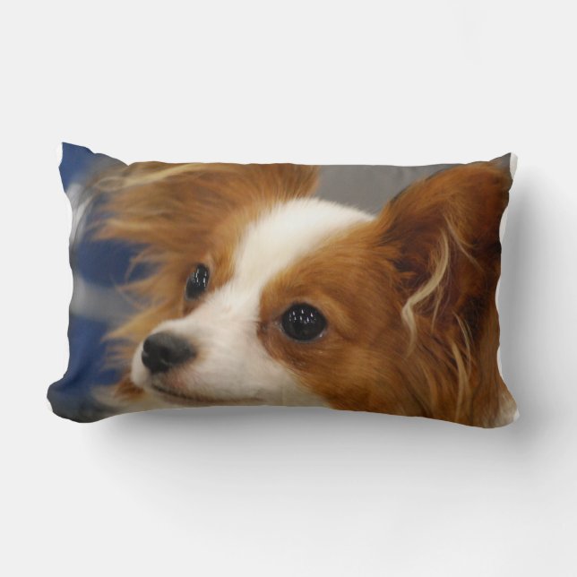 Cute Papillon Dog Kussen (Voorkant)