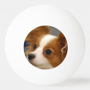 Cute Papillon Dog Pingpongbal
