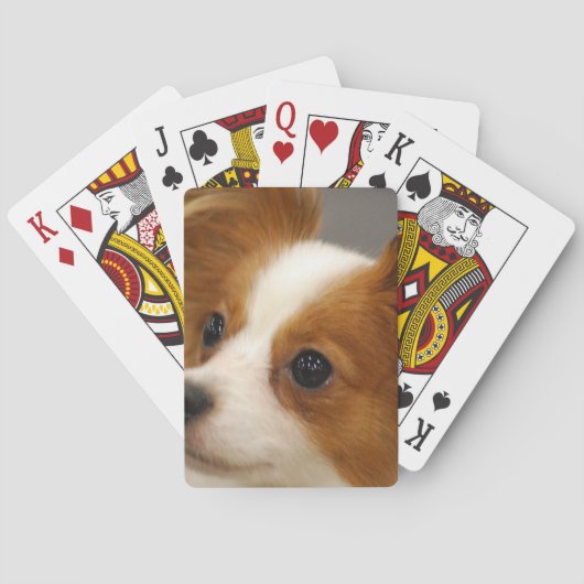 Cute Papillon Dog Speelkaarten (Achterkant)