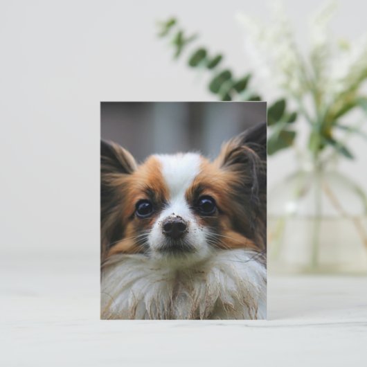 Cute papillon hond briefkaart (Staand voorkant)