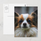 Cute papillon hond briefkaart (Voorkant / Achterkant)