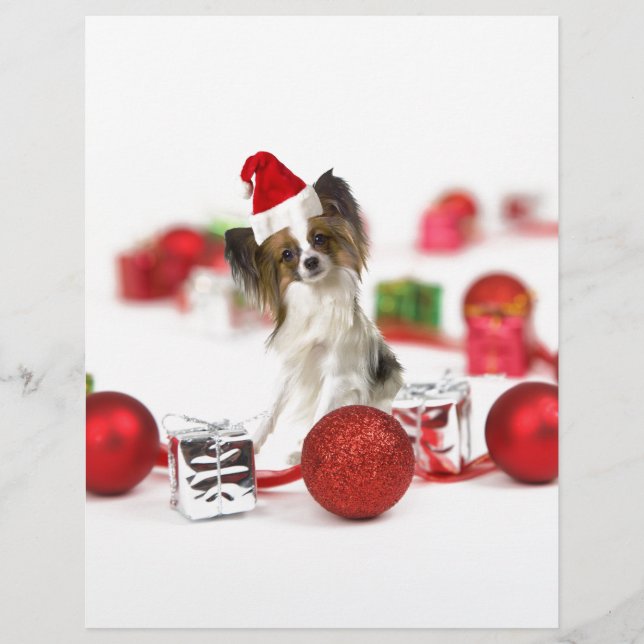 Cute Papillon-hond Kerstman-muts (Voorkant)